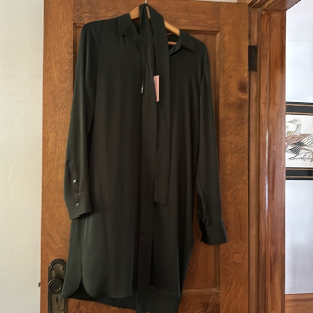 Quince dark olive belted silk shirt dress